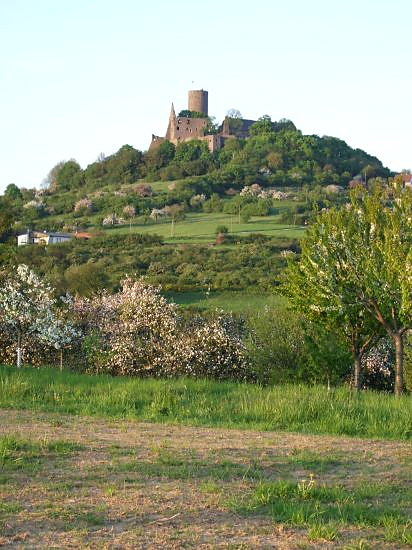 Burg Gleiberg auf einem grünen Hügel